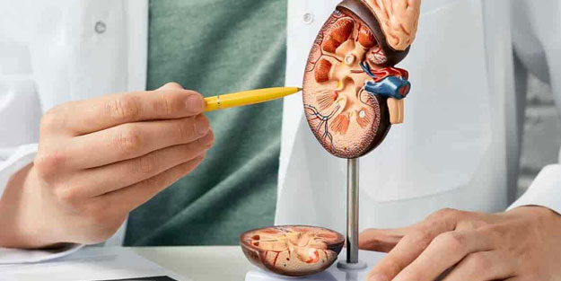 Donörden alınan böbreğin kan grubunu değiştirdiler