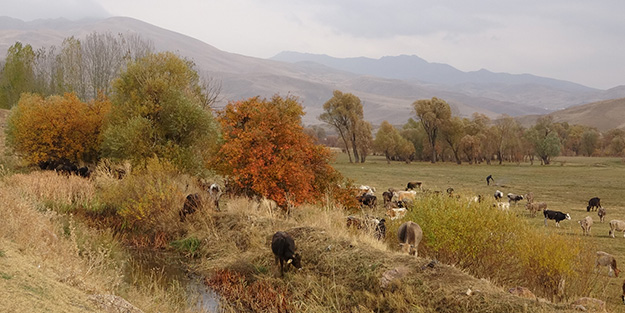 Dört mevsimi bir arada yaşayan Türkiye'den muhteşem manzara!