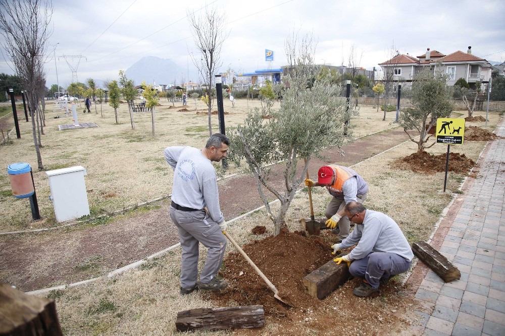 Döşemealtı Belediyesi, Elazığ depreminde hayatını kaybedenleri unutmadı 