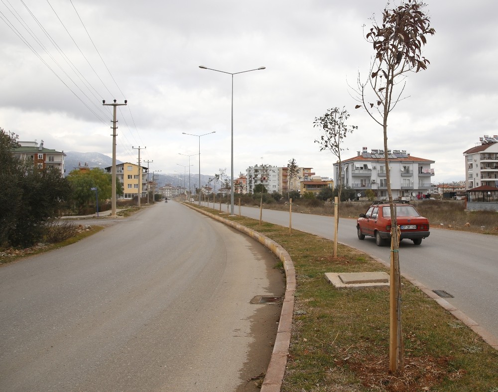 Döşemealtı’nda ağaçlandırma seferberliği 