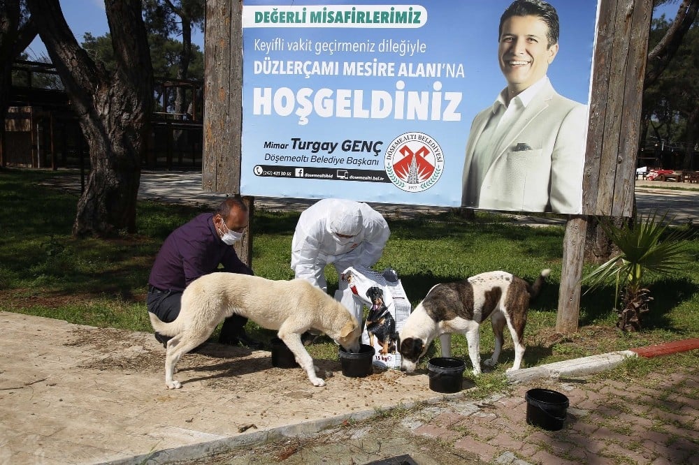 Döşemealtı’nda sokak hayvanlarının su ve mama kapları arttırıldı 
