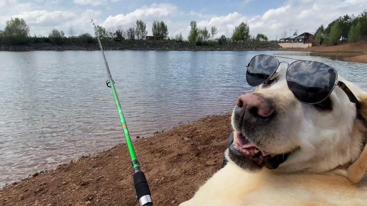 "Dost" şimdi emekliliğin keyfini çıkarıyor