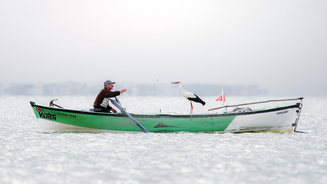 Dostluğun en güzel hali: Yaren Leylek fotoğrafı dünyanın en iyisi seçildi