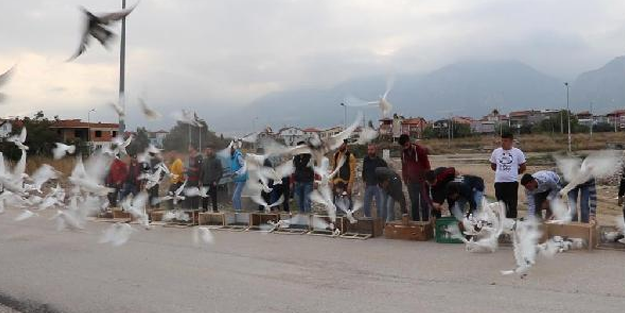 Dostluk için 500 güvercin uçurdular