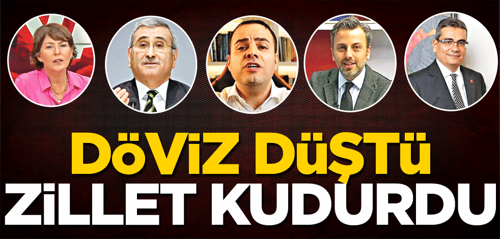 Döviz düştü, Zillet kudurdu