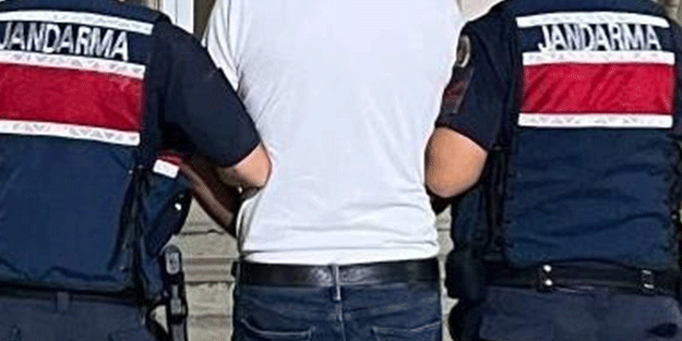 Döviz hırsızları Didim'de yakalandı