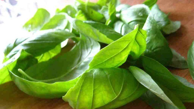 Dr. Coşkun: Uykusuzluğa strese son