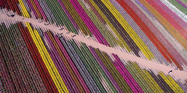 Drone ile çekilmiş 19 fotoğraf ödül aldı