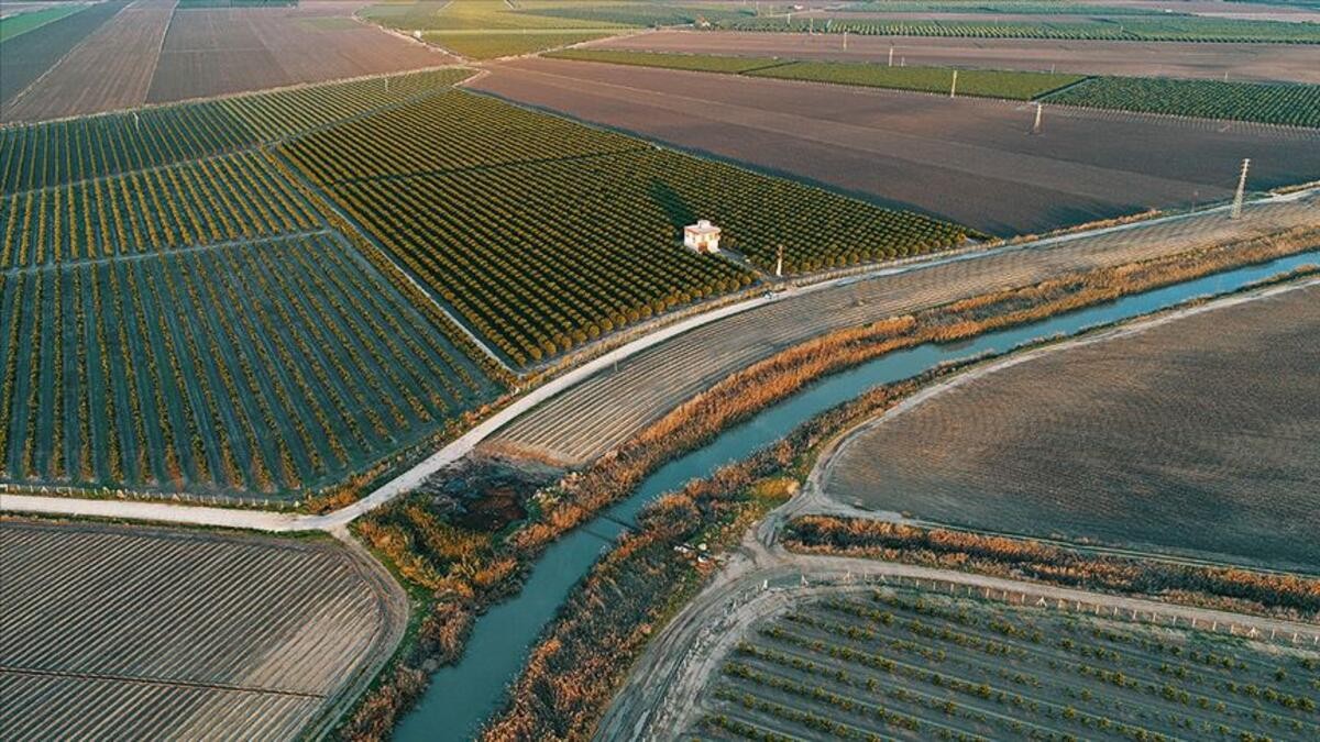 DSİ, 30 bin hektar alanda arazi toplulaştırması yaptı
