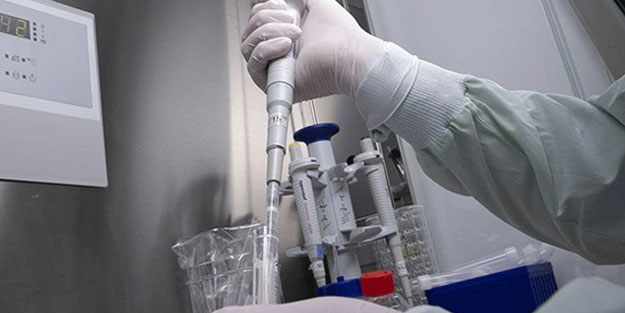 DSÖ, 2022'de Kovid-19'dan ölenlerin sayısını açıkladı