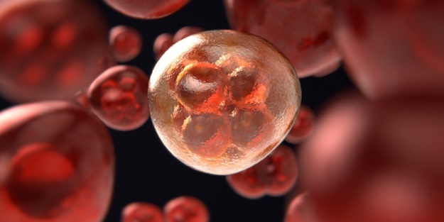 DSÖ maymun çiçeği virüsünün adını değiştirdi! İşte sebebi