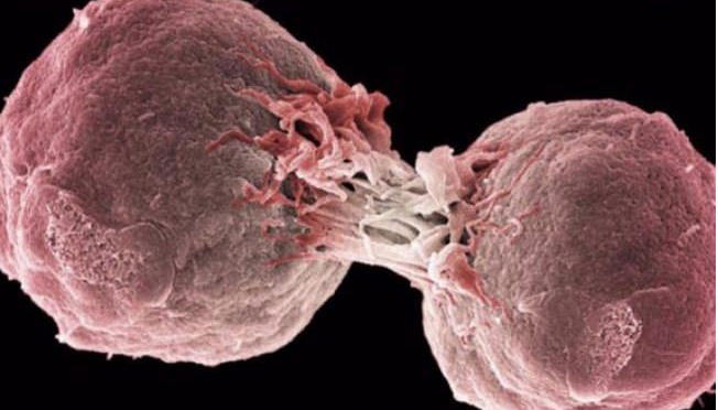 DSÖ uyardı: Kanserden daha tehlikeli!