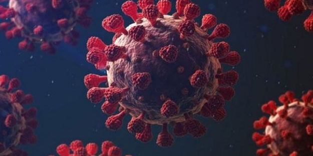 DSÖ'den korkutan uyarı: Koronavirüsten şiddetli olabilecek salgına hazırlanmalıyız