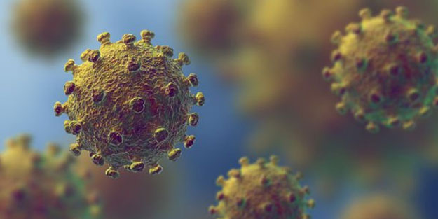 DSÖ’den koronavirüsün yeni türü hakkında açıklama