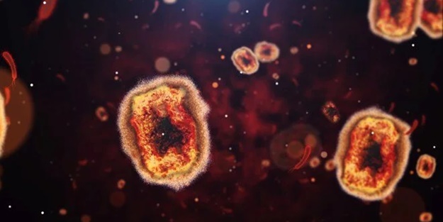 DSÖ'den maymun çiçeği açıklaması