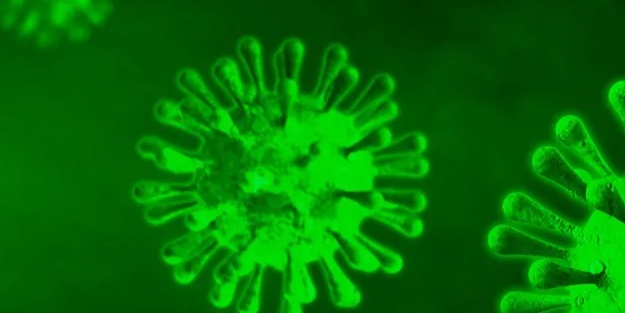 DSÖ'den maymun çiçeği virüsü hakkındaki açıklaması: Virüs korkuttu ama acil durum sona erdi