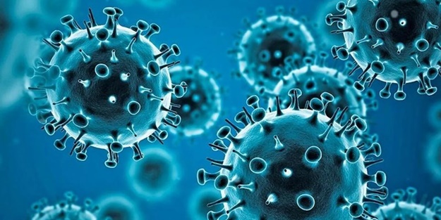 DSÖ'den sevindiren haber: Yakında bitebilir