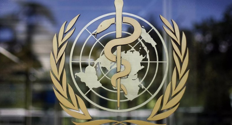 DSÖ'den Türkiye'ye acil sinek uyarısı: Geç olmadan müdahale edin