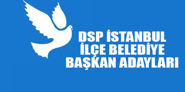 DSP İstanbul İBB adayı DSP İstanbul ilçe belediye başkan adayları 2019