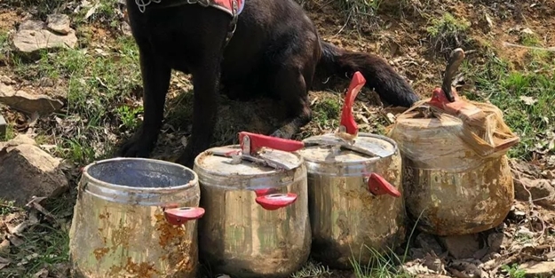 Düdüklü tencerelerde 80 kilo el yapımı patlayıcı ele geçirildi!