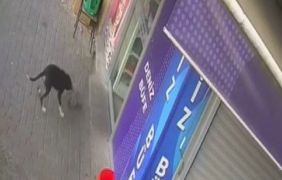 Dükkanı soyulan esnaf güvenlik kamerasına bakınca şok oldu!
