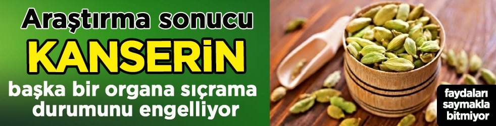 Dulavrat otu: Demleyip için, şeker hastalarına şifa dağıtıyor