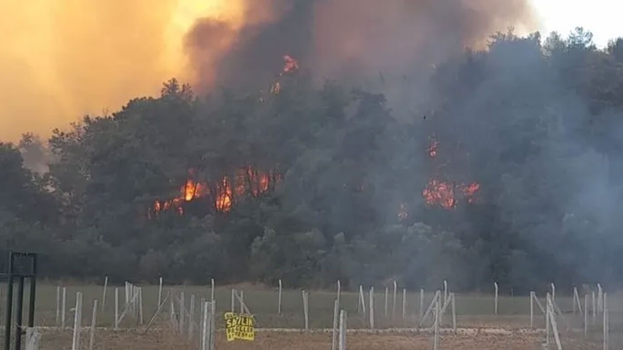 Dumanlar Kuşadası'ndan görünüyor! İzmir'de orman yangını