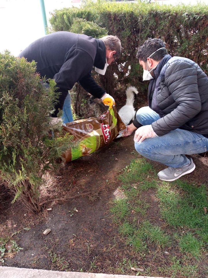 Dumlupınar’da sokak hayvanları unutulmadı 