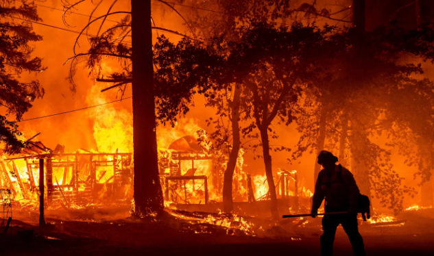 Dün ülke genelinde 34’ü orman 14’ü kırsal alan olmak üzere toplam 48 yangına müdahale edildi