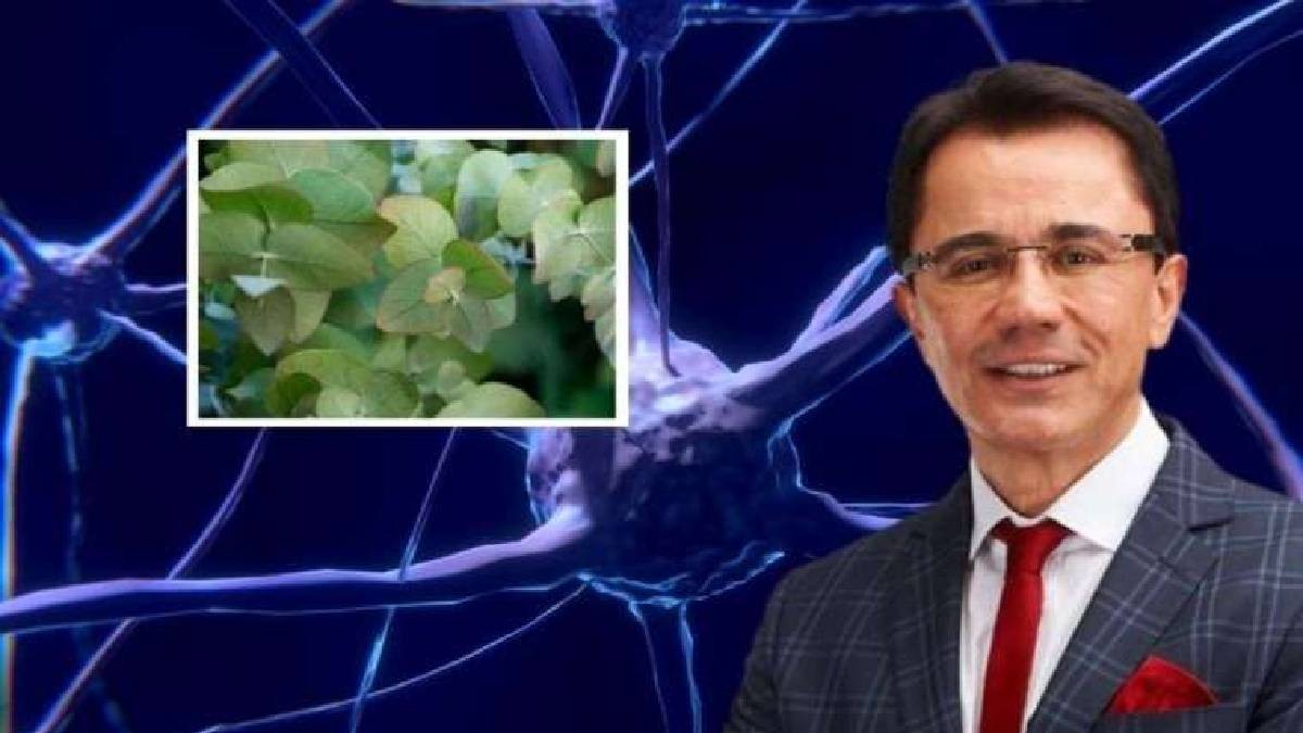 Dün yediğini bile hatırlamayanlar mutlaka tıklayın! Ender Saraç mucizevi formülü açıkladı! Zıpkın gibi, dipçik gibi, zehir gibi olacaklar