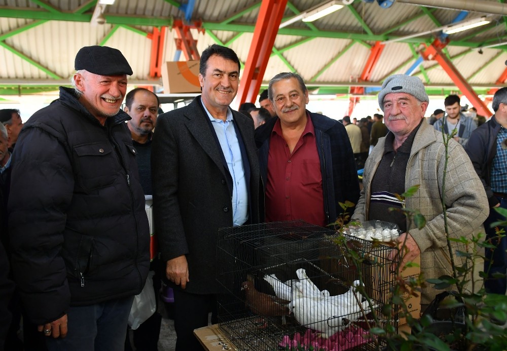 Dündar, kuş pazarını gezdi 