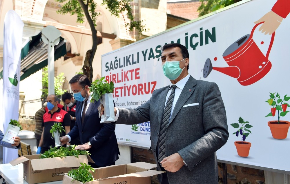 Dündar’dan yerli ve milli sebze fidesi 