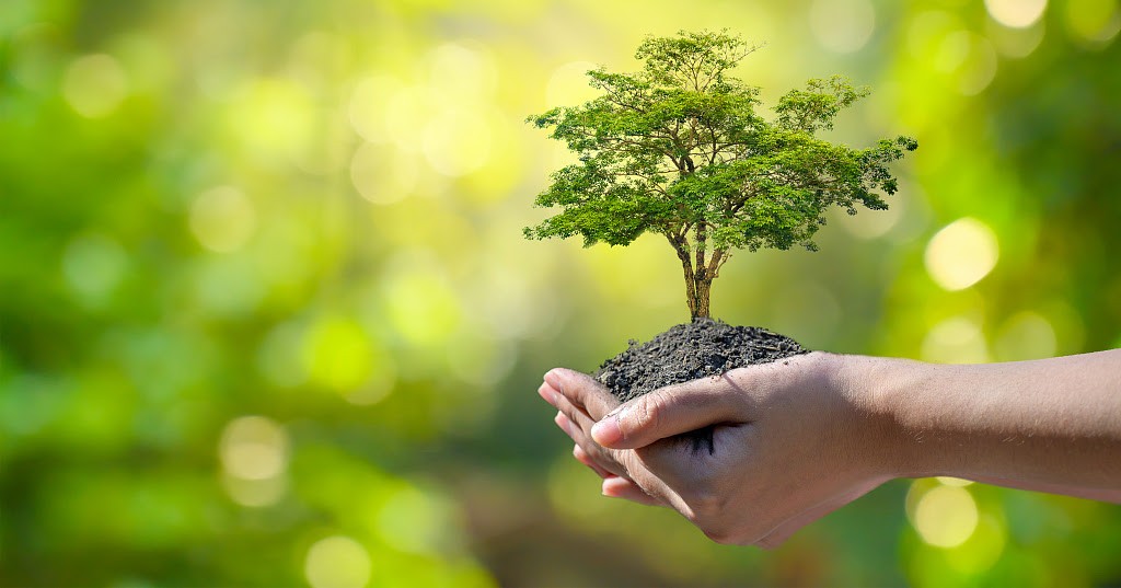 Dünya Bankası’ndan flaş Çin kararı