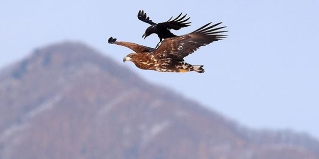 Dünya bu fotoğrafları konuşuyor