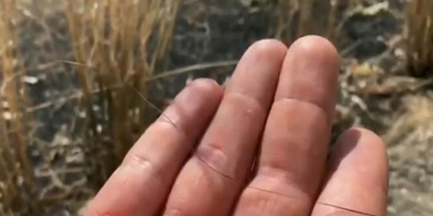 Dünya bu görüntüleri konuşuyor! Türk askeri buldu