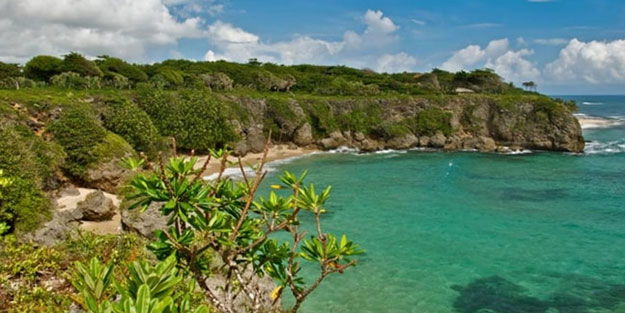 Dünya bu olayı konuşuyor! Survivor'ın adasında gizemli ölüm