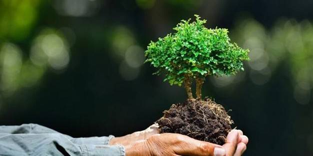 Dünya çevre günü nedir? Dünya çevre günü ne zaman kabul edildi?