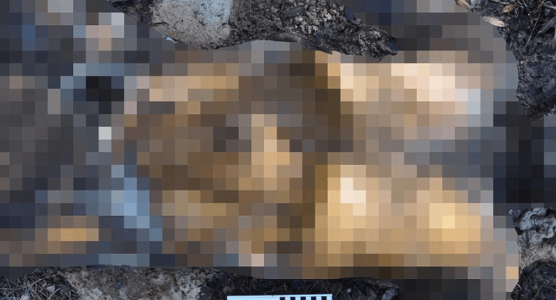 Dünya daha önce böyle bir şeye hiç şahit olmamıştı! Toprağın üstünde tellerin içerisinde duran şeyi öğrenince aklınız duracak