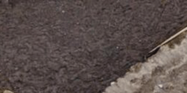 Dünya dehşete düştü! Ceset tarlasına dönüştü