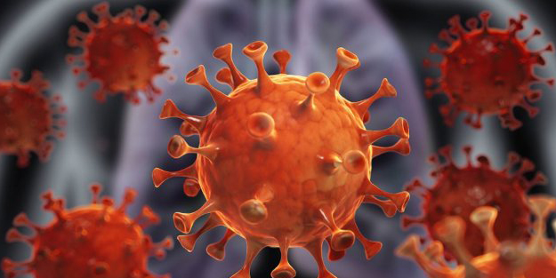 Koronavirüste dehşete düşüren tablo