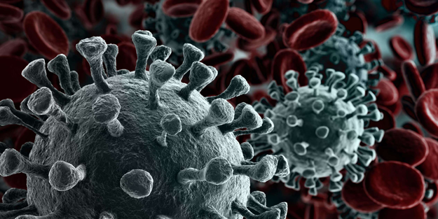 Can kaybı 2 milyona yaklaştı!