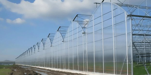 Dünya gıda krizi ile boğuşurken Almanya, İspanya ve Hollanda Türkiye'den satın almak için harekete geçti