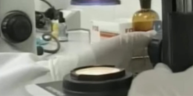 Dünya gündemine bomba gibi düşen görüntüler! 'Bir laboratuvardan gelen son saçmalık'