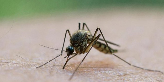 Dünya gündemini altüst edecek gelişme! 750 milyonu dünyaya salacaklar