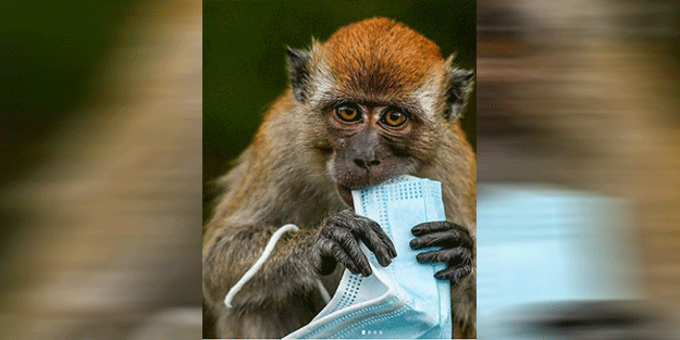 Dünya gündemini altüst eden kare! Tehlike gözler önüne serildi