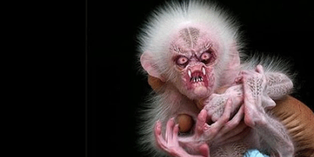 Dünya her yerde bunu arıyor! Daha önce hiç görülmedi