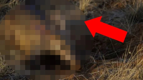 Dünya için felaket, bir canlının dışkısından geldi! Araştırmacılar incelemede o korkunç detayı keşfetti