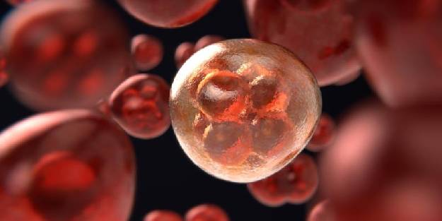 Dünya Kanser Günü’ne özel uzman isim uyardı: Kanserlerin yüzde 35’i beslenme kaynaklı