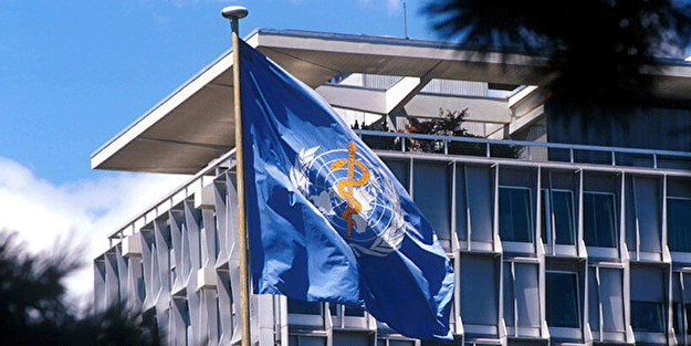 DSÖ'den maymun çiçeği açıklaması