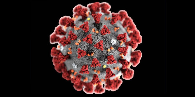 Dünya Sağlık Örgütünden korona virüsü ile ilgili tüm Dünya ülkelerine önemli uyarı geldi